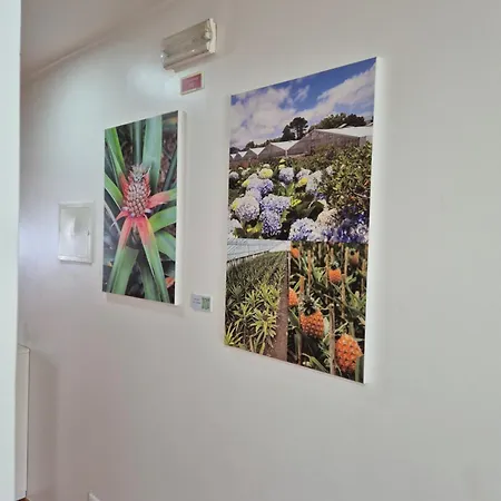 Lejlighed A Caminho Da Ilha Ponta Delgada