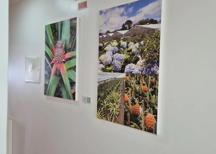 公寓 A Caminho Da Ilha 蓬塔德尔加达